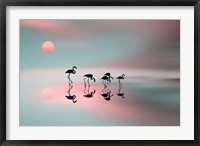 Framed Family Flamingos