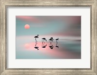Framed Family Flamingos