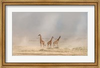 Framed Weathering The Amboseli Dust Devils