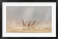 Framed Weathering The Amboseli Dust Devils