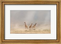 Framed Weathering The Amboseli Dust Devils