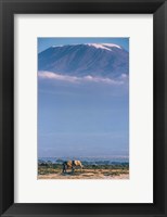 Framed Kilimanjaro And The Quiet Sentinels