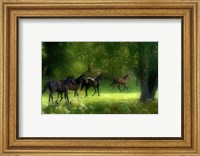 Framed Running Horses