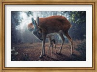 Framed Mother And Fawn