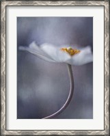 Framed Beauty Within