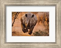 Framed Rhino Learning To Fly