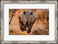 Framed Rhino Learning To Fly