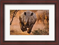 Framed Rhino Learning To Fly