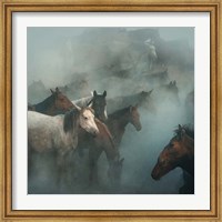 Framed Lost Horses