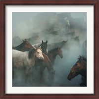 Framed Lost Horses