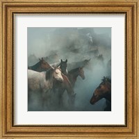 Framed Lost Horses