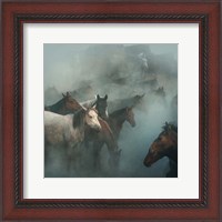 Framed Lost Horses