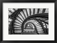 Framed Rookery