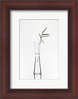 Framed Bamboo