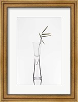 Framed Bamboo
