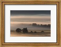 Framed Dense Fog Over The Moos