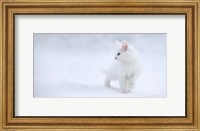 Framed White As Snow