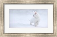 Framed White As Snow
