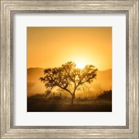Framed Golden Sunrise