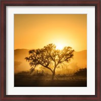 Framed Golden Sunrise