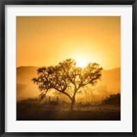 Framed Golden Sunrise