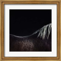 Framed Naked Horse