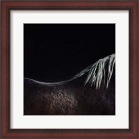 Framed Naked Horse