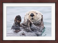 Framed Yesterday I Caught A Fish This Big! - Otter, Alaska