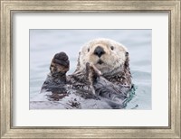 Framed Yesterday I Caught A Fish This Big! - Otter, Alaska