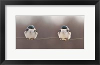 Framed Birds On A Wire