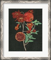 Framed Pomegranate Study I