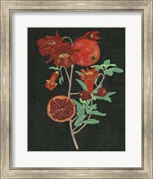 Framed Pomegranate Study I