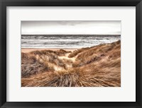 Framed Beach Dunes