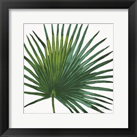 Welcome to Paradise XVI on White Framed Print