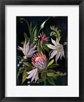 Framed Flower Show I