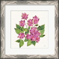 Framed Tropical Fun Flowers IV with Gold