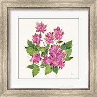 Framed Tropical Fun Flowers IV with Gold