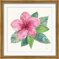 Framed Tropical Fun Flowers III with Gold