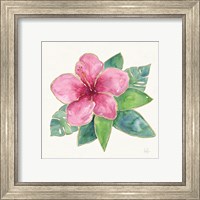 Framed 'Tropical Fun Flowers III with Gold' border=