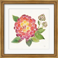 Framed Tropical Fun Flowers II with Gold