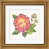 Framed Tropical Fun Flowers II with Gold