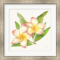 Framed Tropical Fun Flowers I with Gold