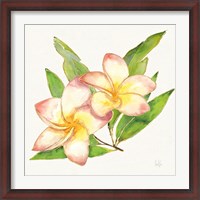 Framed Tropical Fun Flowers I with Gold