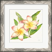 Framed 'Tropical Fun Flowers I with Gold' border=
