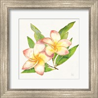 Framed Tropical Fun Flowers I with Gold