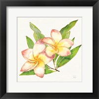 Framed 'Tropical Fun Flowers I with Gold' border=
