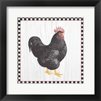 Home to Roost III Framed Print