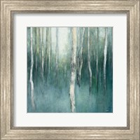 Framed Forest Dream