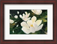 Framed Magnolia Blooms No Petal