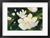 Framed Magnolia Blooms No Petal